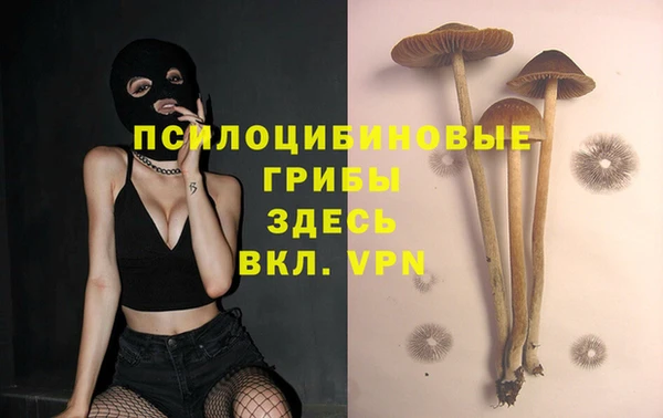 каннабис Нефтекумск