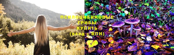альфа пвп Нефтегорск